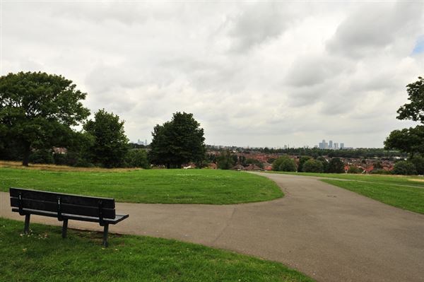 Blythe Hill Fields (01/05/2019)