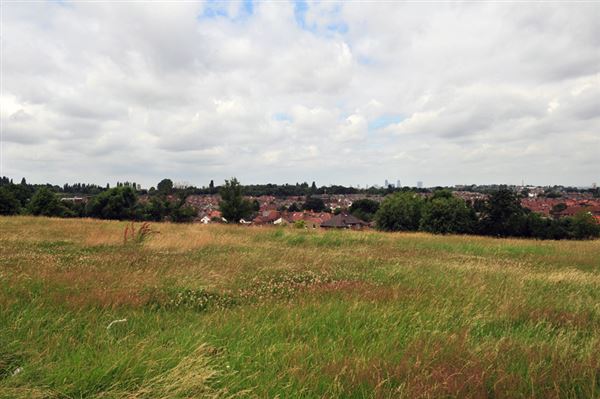 Blythe Hill Fields (01/05/2019)