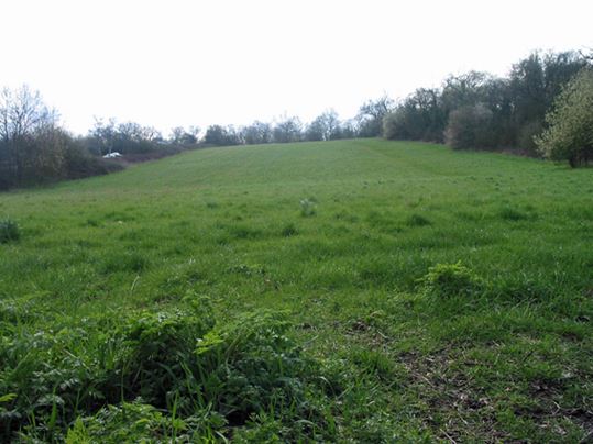 Fryent Country Park (01/05/2019)