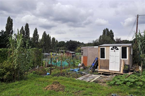 Birchen Grove Allotments (01/05/2019)