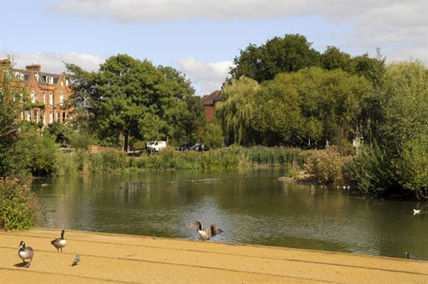 Barnes Green (01/05/2019)