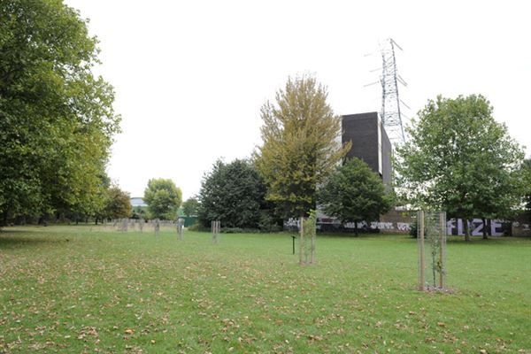 South Millfields Recreation Ground (01/05/2019)