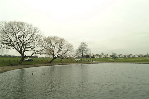 Blackheath area (01/05/2019)