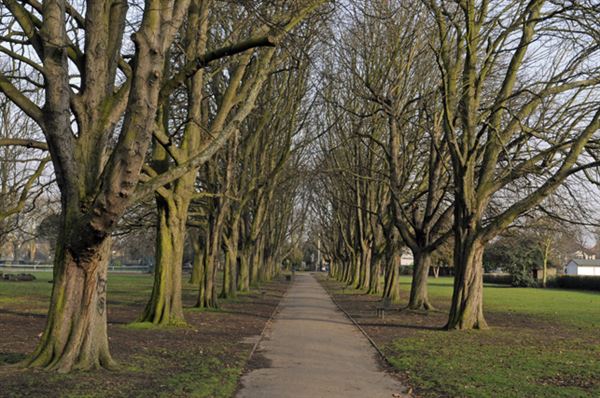Lammas Park (01/05/2019)