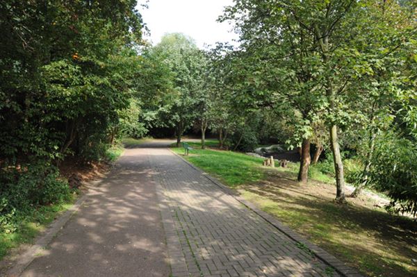 Russia Dock Woodland (01/05/2019)