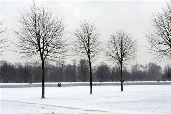 Kensington Gardens in the snow (01/05/2019)