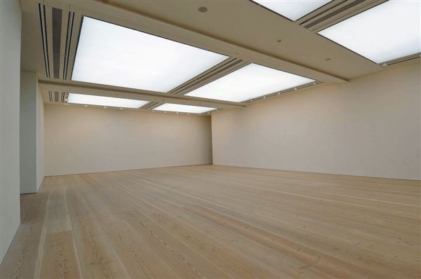 Saatchi Gallery (01/05/2019)