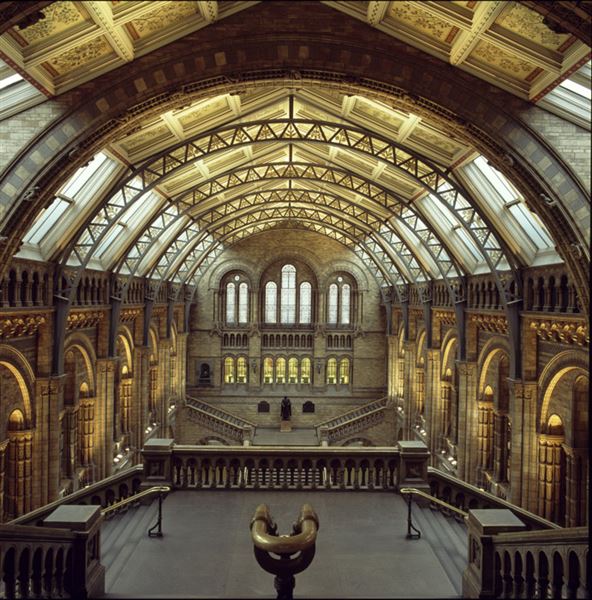 Natural History Museum (01/05/2019)
