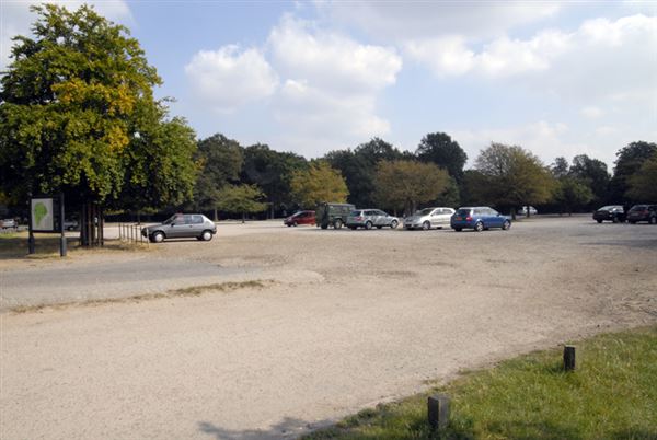Richmond Park (01/05/2019)
