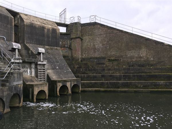 Brent Reservoir (01/05/2019)