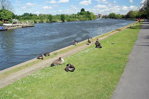 Kingston Riverside (01/05/2019)
