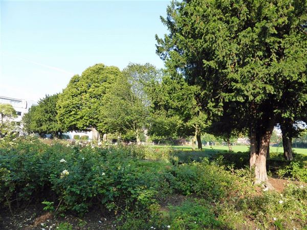 Kilburn Grange Park (01/05/2019)