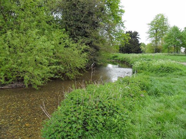 Foots Cray Meadows (01/05/2019)