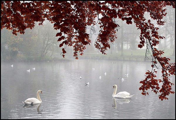 Beddington Park & The Grange (01/05/2019)
