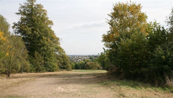 King George's Fields (06/04/2018)