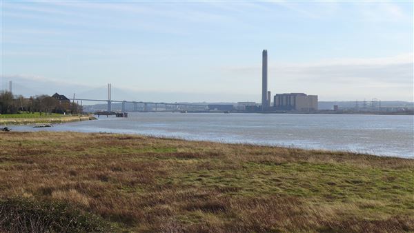 Rainham Marshes - Thames Side (20/04/2018)