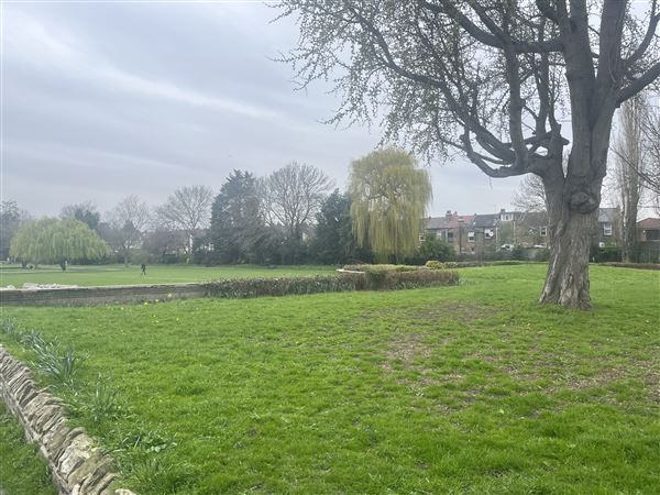 Plumstead Gardens (05/04/2023 - Credits: Yiyang Guo)