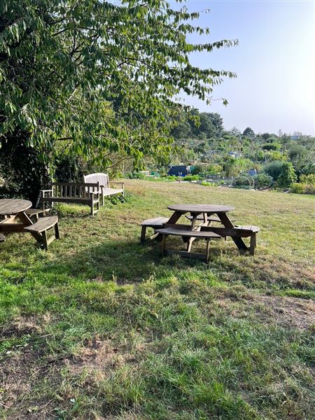 Grange Lane Allotments (01/09/2023 - Credits: submitted by: Tyrrell  Evans)