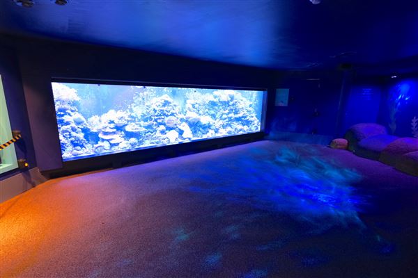 London Zoo (04/10/2024)