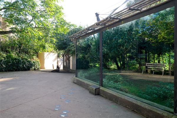 London Zoo (04/10/2024)