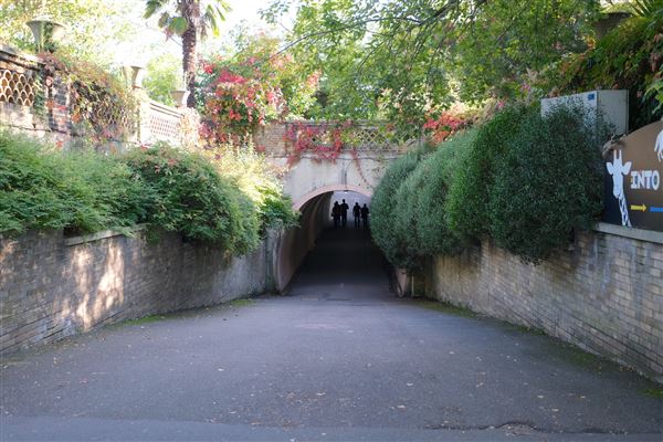 London Zoo (04/10/2024)