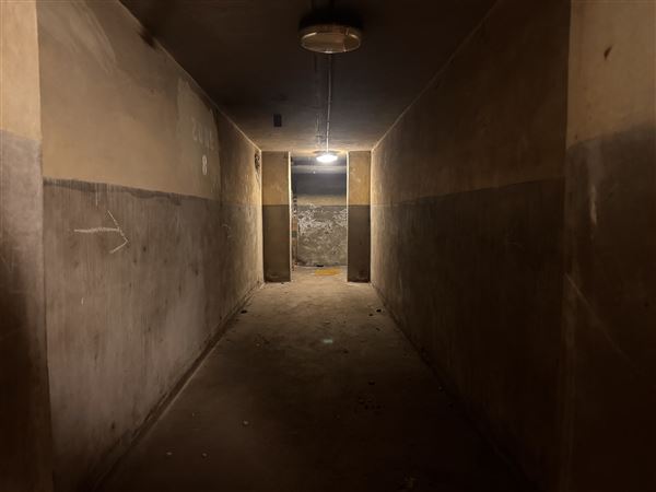 Barking Town Hall - Basement (17/01/2025)