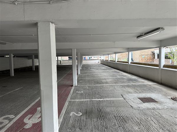 Bexleyheath Multi-Site (13/11/2025 - Credits: submitted by: Liz Charlton)
