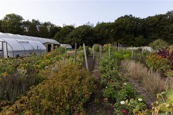 Soul Farm (25/03/2026 - Credits: submitted by: Jo Thompson)