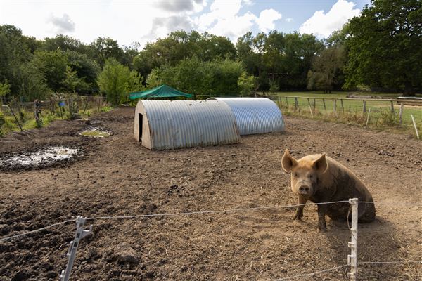 Keepers Farm (25/03/2026 - Credits: submitted by: Jo  Thompson)