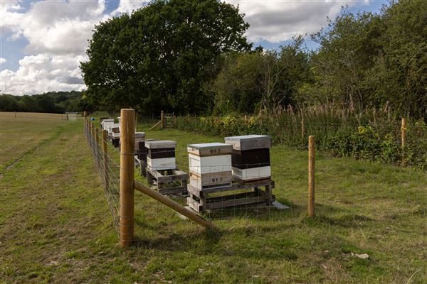 Keepers Farm (25/03/2026 - Credits: submitted by: Jo  Thompson)
