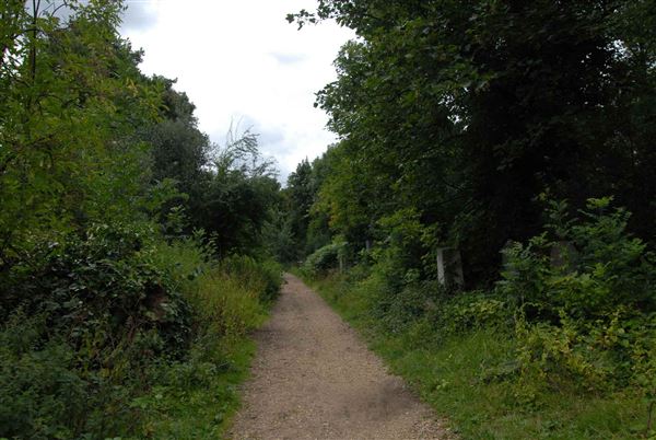 Abney Park Cemetery (01/05/2019)