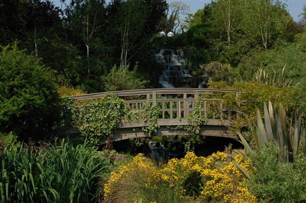 Regent's Park (01/05/2019)