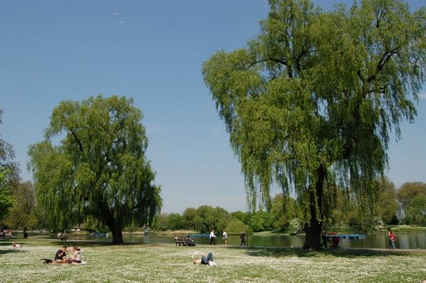 Regent's Park (01/05/2019)