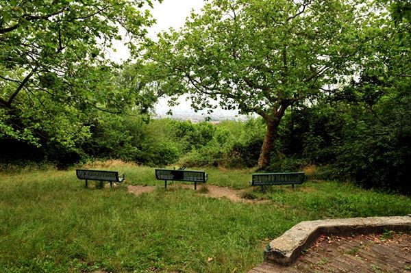 One Tree Hill, Honor Oak Park (01/05/2019)