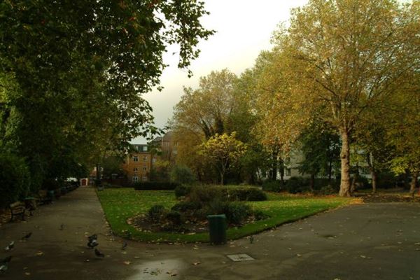 Wren Street (01/05/2019)