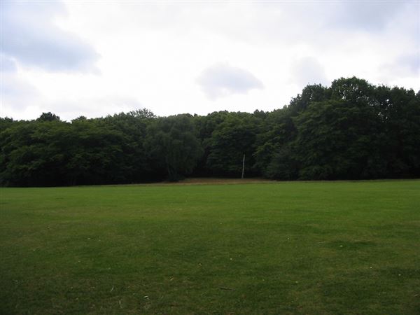Cherry Tree Wood (01/05/2019)