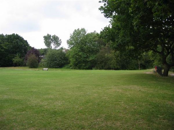Cherry Tree Wood (01/05/2019)
