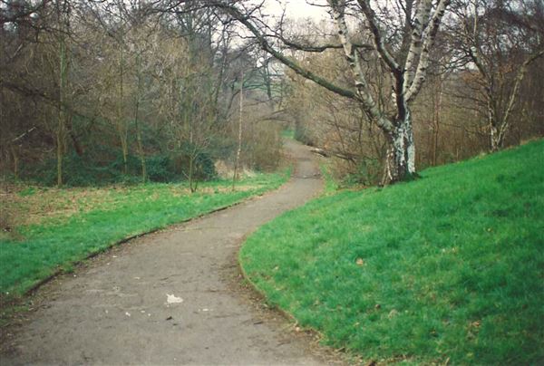 Maryon Wilson Park (01/05/2019)