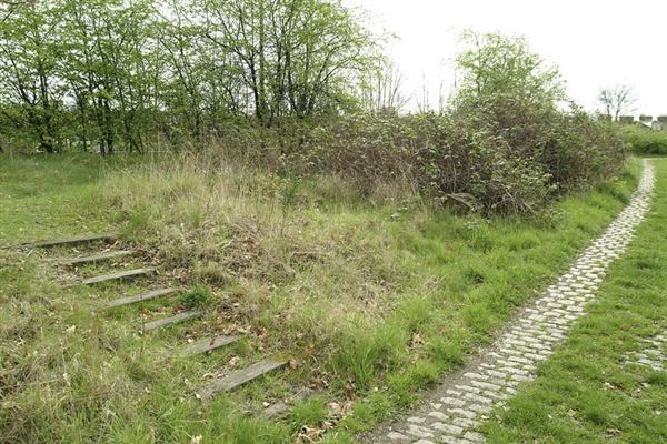 Railway Fields Nature Reserve (01/05/2019)