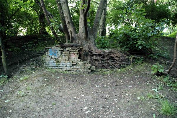 Parkland Walk (01/05/2019)