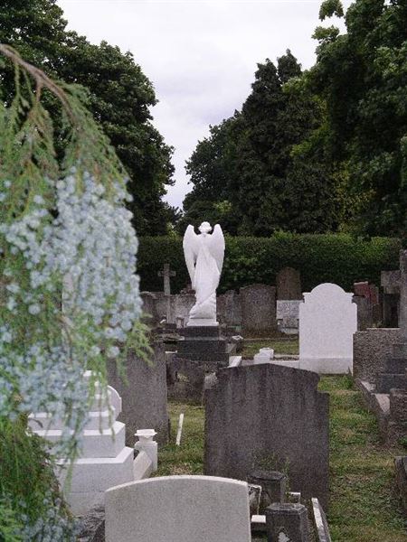 Old Southgate Cemetery (01/05/2019)