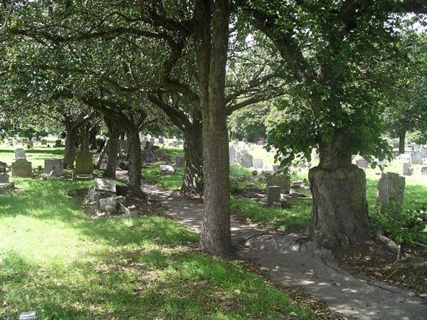 Lavender Hill Cemetery (01/05/2019)