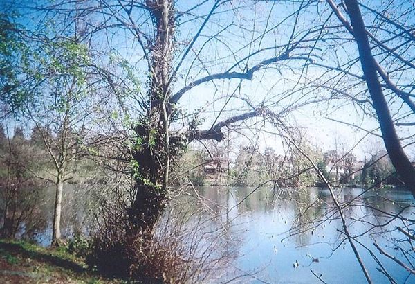Canons Park Estate (01/05/2019)