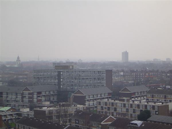 Gascoyne Estate (01/05/2019)