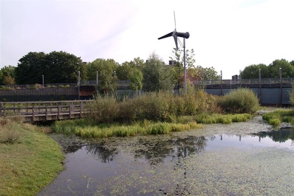 Mile End Park (01/05/2019)