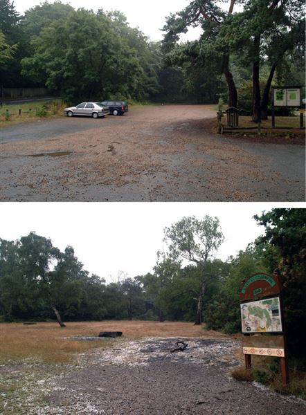 Keston Ponds (01/05/2019)