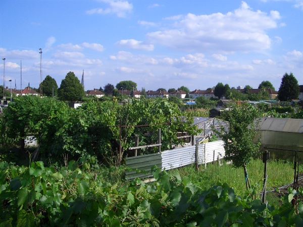 White Hart Lane Allotments (01/05/2019)