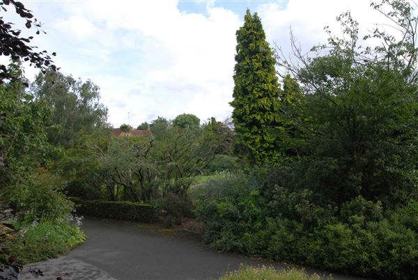 Hampstead Heath - the Hill Garden and Pergola (01/05/2019)