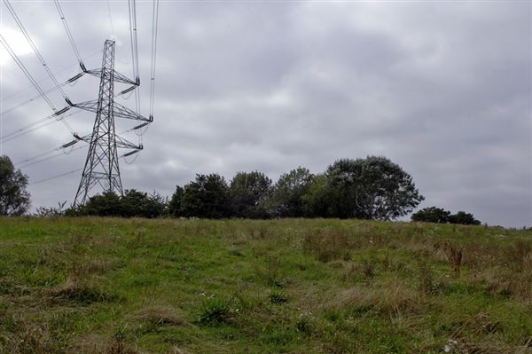 Beckton District Park (01/05/2019)