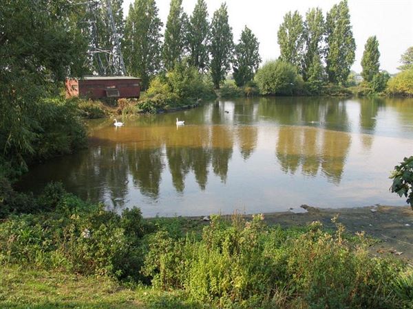 Lockwood Reservoir (01/05/2019)